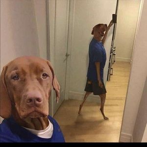 Meet your Posher, Tyler